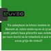 Muveo - transport si logistica